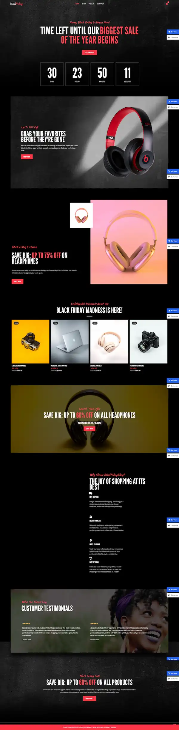 black-friday-04 模板预览