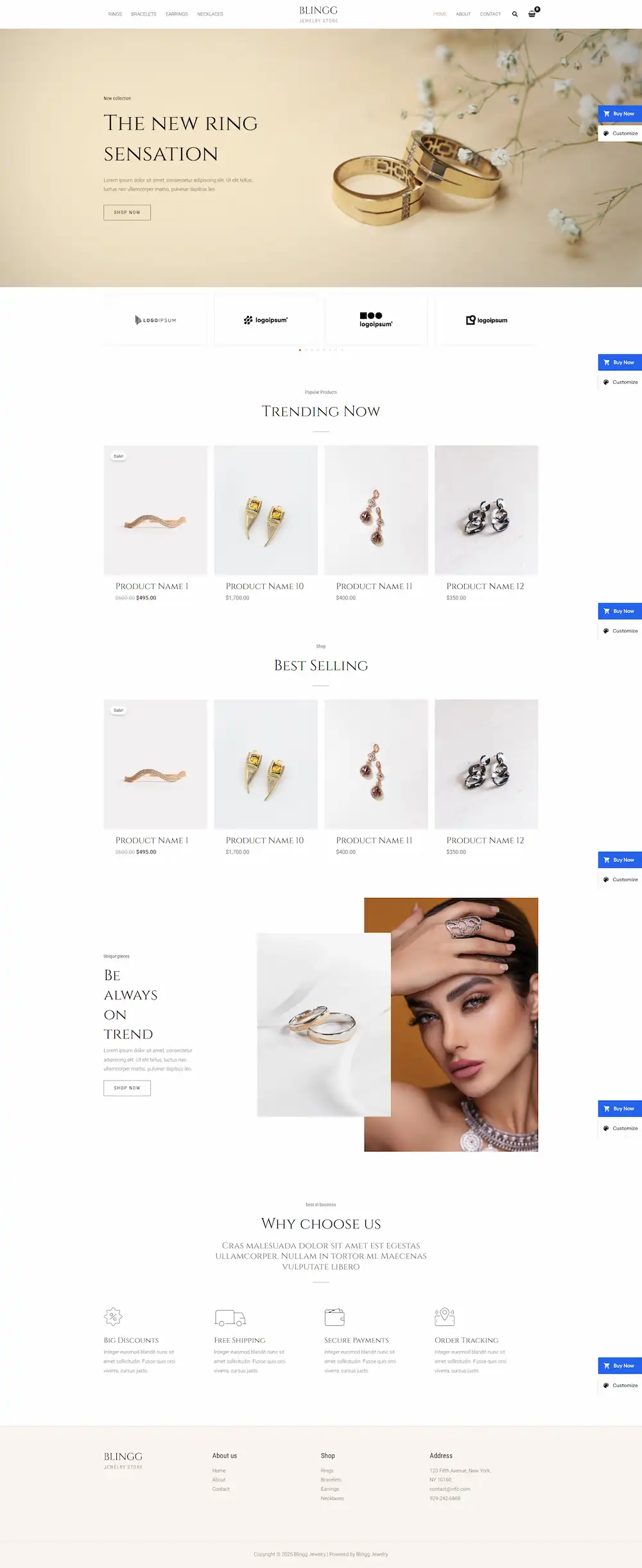 blingg-jewelry-store-04 模板预览