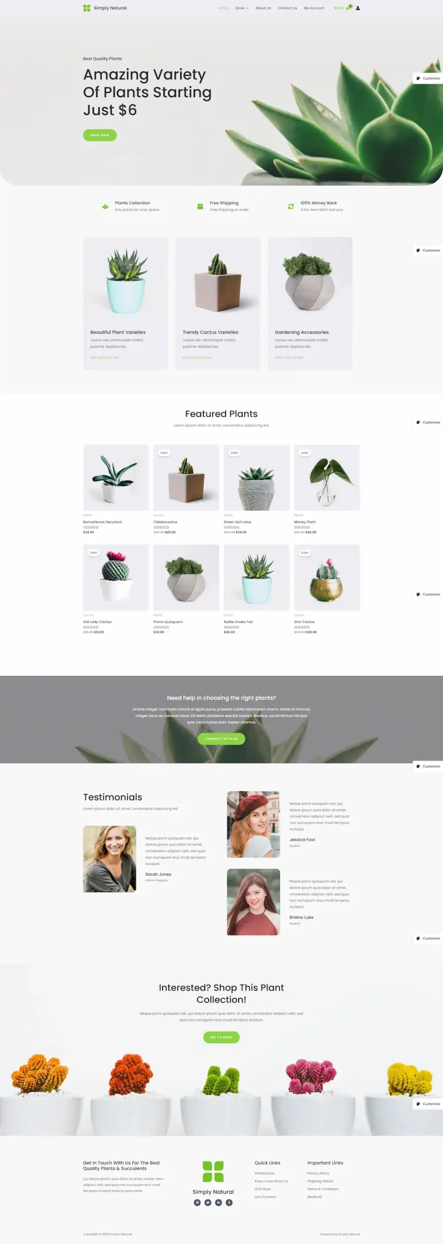 plant-store-02 模板预览