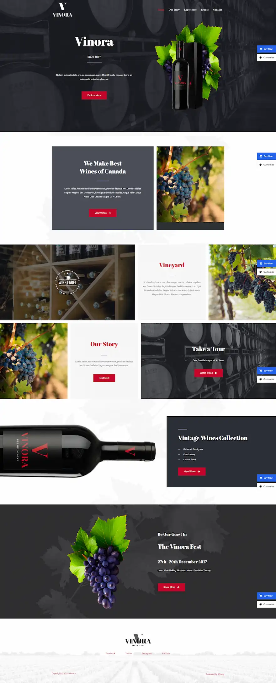 winery-04 模板预览